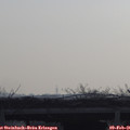 09_00-mast.jpg