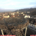 09_00-nest.jpg