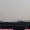 09_10-mast.jpg