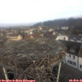 09_15-nest.jpg