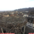 09_25-nest.jpg