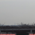 09_35-mast.jpg