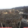 09_35-nest.jpg
