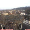 09_40-nest.jpg