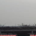 09_45-mast.jpg