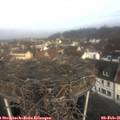 09_45-nest.jpg