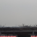 09_50-mast.jpg