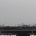 09_55-mast.jpg
