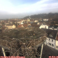 09_55-nest.jpg