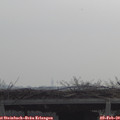 10_00-mast.jpg