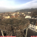 10_00-nest.jpg