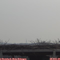 10_05-mast.jpg
