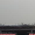 10_10-mast.jpg
