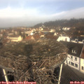 10_10-nest.jpg