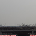 10_15-mast.jpg