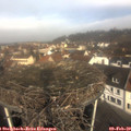 10_15-nest.jpg