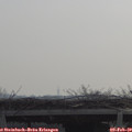10_20-mast.jpg