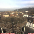 10_20-nest.jpg