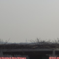 10_25-mast.jpg