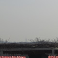 10_30-mast.jpg