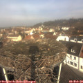 10_30-nest.jpg