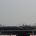 10_35-mast.jpg