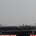 10_40-mast.jpg
