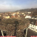 10_40-nest.jpg