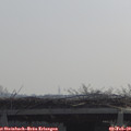 10_45-mast.jpg
