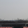 10_50-mast.jpg