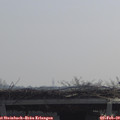 10_55-mast.jpg