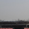 11_05-mast.jpg