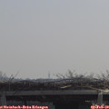 11_10-mast.jpg