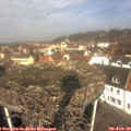 11_10-nest.jpg