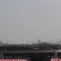 11_15-mast.jpg