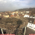 11_15-nest.jpg
