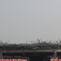 11_30-mast.jpg