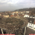 11_30-nest.jpg