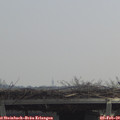 11_35-mast.jpg