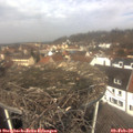 11_35-nest.jpg