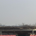 11_40-mast.jpg