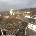 11_50-nest.jpg