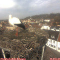 11_55-nest.jpg