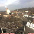 12_00-nest.jpg