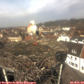 12_05-nest.jpg