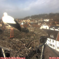 12_10-nest.jpg