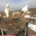 12_15-nest.jpg