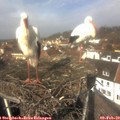 12_20-nest.jpg
