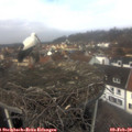 12_30-nest.jpg