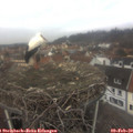 12_45-nest.jpg